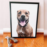 Custom Pet Art Framed Canvas