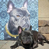 Custom Pet Art Canvas Wrap