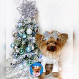 Custom Pet Art Porcelain Ornaments