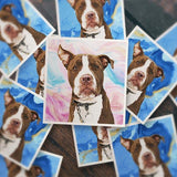 Custom Pet Art Stickers