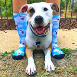 Custom Pup Socks