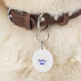 Birthday Boy Pet Tag