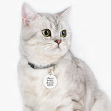 Classy Sassy Little Gassy Pet Tag