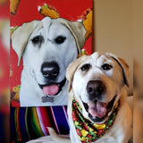 Custom Pet Art Acrylic Wall Art