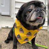 Custom Pet Art Bandana