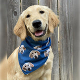 Custom Pet Art Bandana