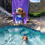 Custom Pet Art Beach Towel