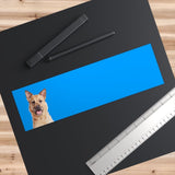 Custom Pet Art Bumper Stickers