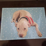 Custom Pet Art Glass Cutting Board