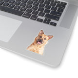 Custom Pet Art Kiss-Cut Stickers