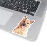 Custom Pet Art Kiss-Cut Stickers