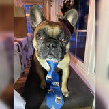 Custom Pet Art Neck Ties