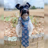 Custom Pet Art Neck Ties