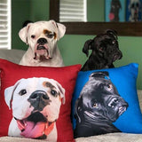 Custom Pet Art Pillow