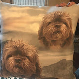 Custom Pet Art Pillow