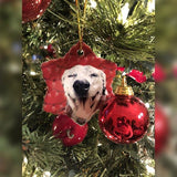 Custom Pet Art Porcelain Ornaments