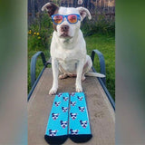 Custom Pet Art Socks