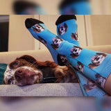 Custom Pet Art Socks