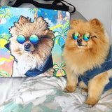 Custom Pet Art Tote Bag