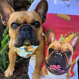 Custom Pet Art Women's Crew